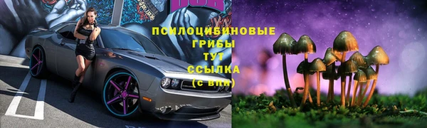 соль ск Пролетарск