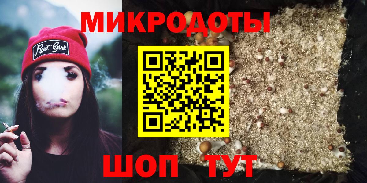 Псилоцибиновые грибы Psilocybine cubensis Алатырь