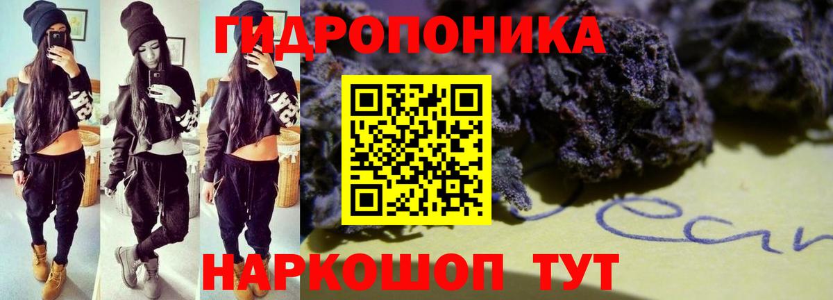 Конопля LSD WEED  Вход с VPN  Алатырь  Канабис LSD WEED 